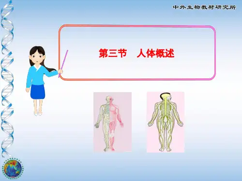 苏教版七年级生物下册第4单元第8章 第三节  人体概述(25张PPT)
