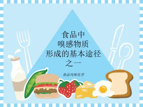 食品风味化学3.5 食品中嗅感物质形成的基本途径之一