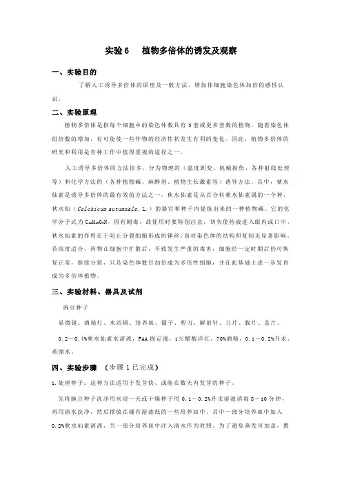 实验6  植物多倍体的诱发及观察