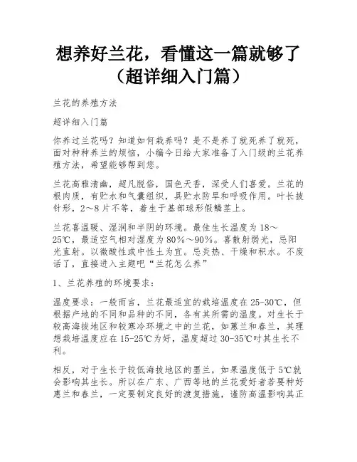 想养好兰花,看懂这一篇就够了(超详细入门篇)