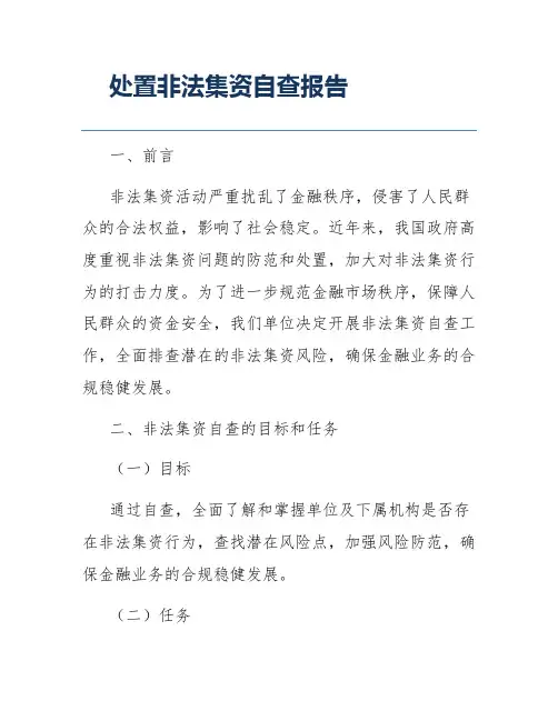 处置非法集资自查报告