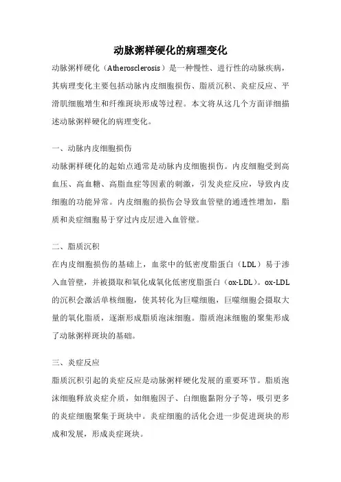 动脉粥样硬化的病理变化