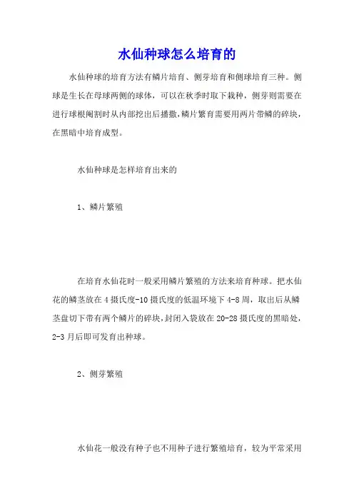 水仙种球怎么培育的