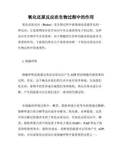 氧化还原反应在生物过程中的作用