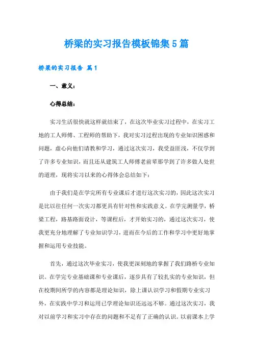 桥梁的实习报告模板锦集5篇