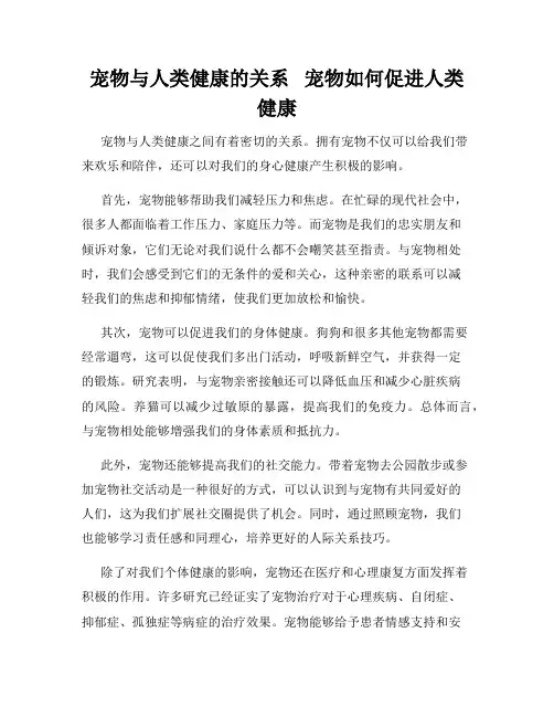 宠物与人类健康的关系   宠物如何促进人类健康
