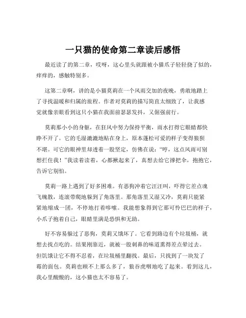 一只猫的使命第二章读后感悟