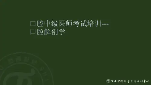 中级口腔解剖学第一讲(3.2)
