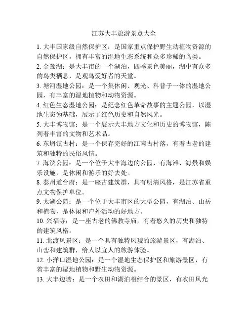 江苏大丰旅游景点大全