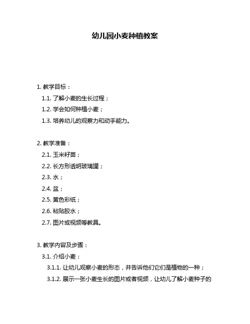 幼儿园小麦种植教案