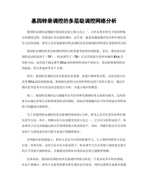 基因转录调控的多层级调控网络分析