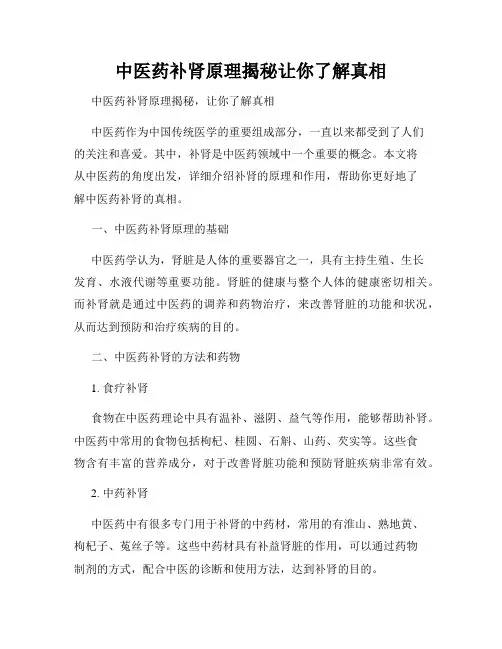 中医药补肾原理揭秘让你了解真相