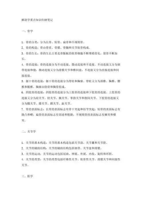 解剖学重点知识归纳笔记