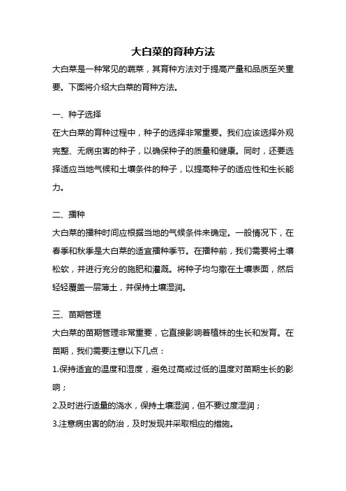 大白菜的育种方法