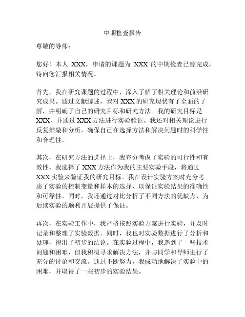 中期检查报告