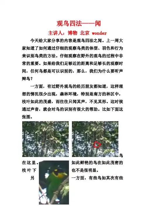 观鸟四法—闻
