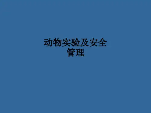 动物实验及安全管理ppt课件