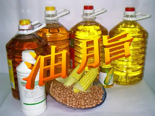 1.2重要的体内能源—油脂课件