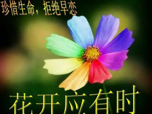 主题班会 花开应有时