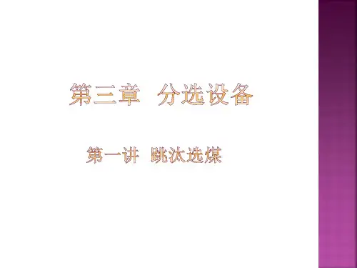 跳汰选煤