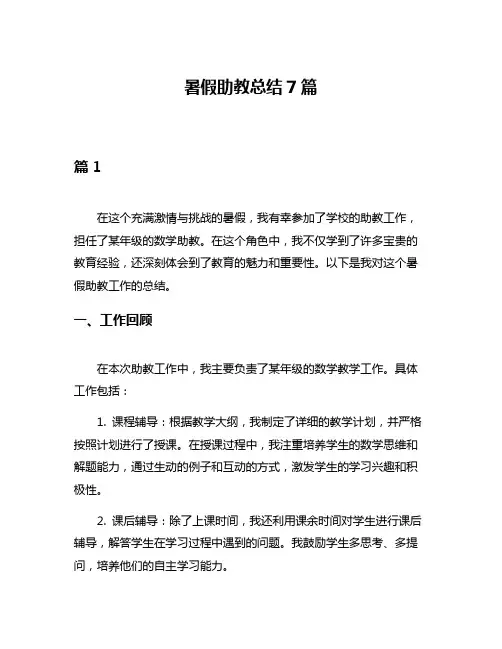 暑假助教总结7篇