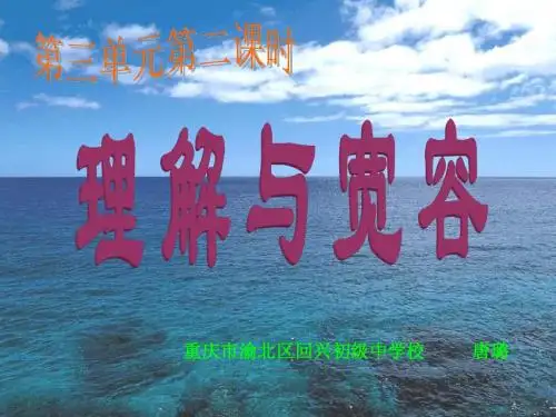 理解与宽容-PPT
