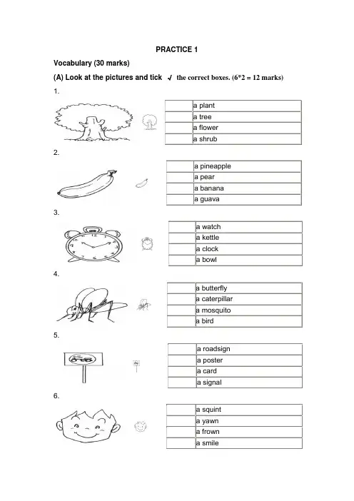 新加坡小学英语一年级试卷practice 1.doc