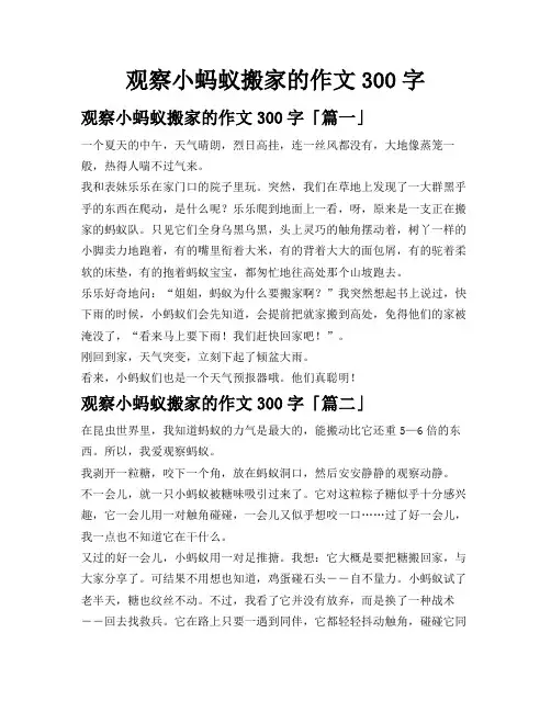 观察小蚂蚁搬家的作文300字