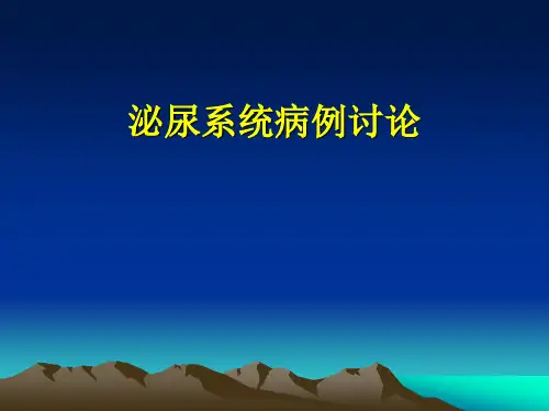 泌尿系统病例讨论 2012-12-14