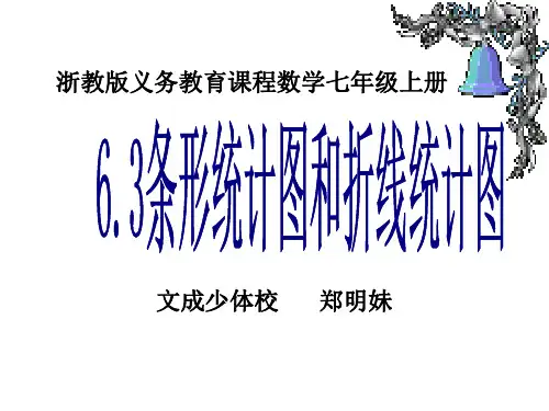 七年级上册数学课件_6.3 条形统计图与折线统计图