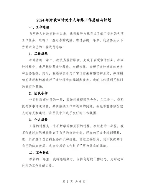 2024年财政审计处个人年终工作总结与计划(3篇)