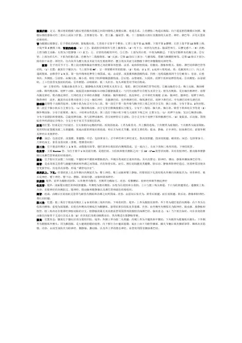 腹膜后隙