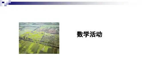 人教版八年级数学下册-平行四边形-数学活动