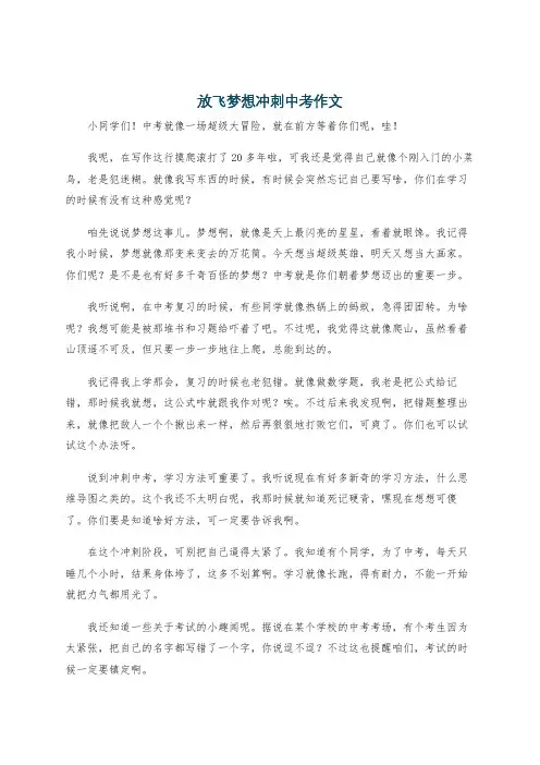 放飞梦想冲刺中考作文
