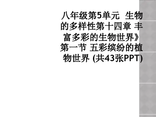 八年级第5单元 生物的多样性第十四章 丰富多彩的生物世界》第一节 五彩缤纷的植物世界