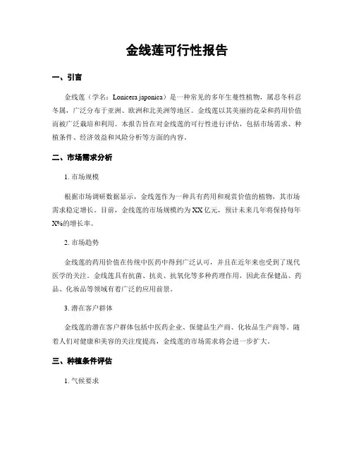 金线莲可行性报告