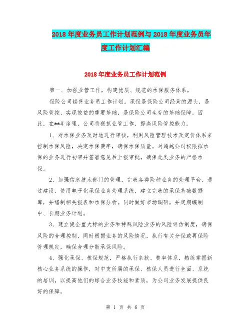 2018年度业务员工作计划范例与2018年度业务员年度工作计划汇编.doc