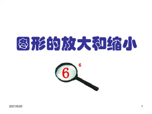 人教新课标六年级下册数学《图形的放大与缩小》(共24张PPT)