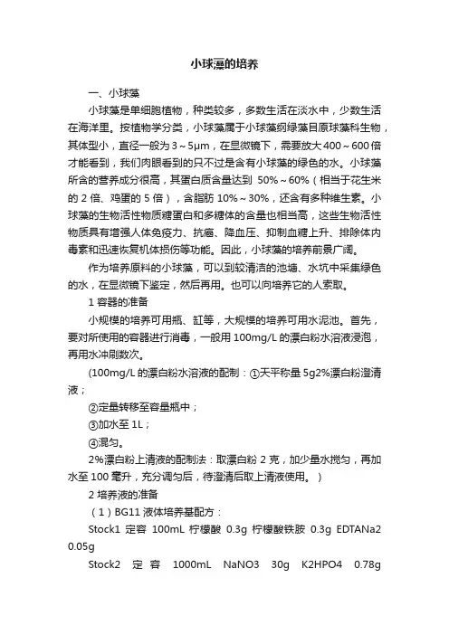 小球藻的培养