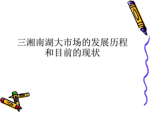 三湘南湖大市场的发展历程和目前的现状