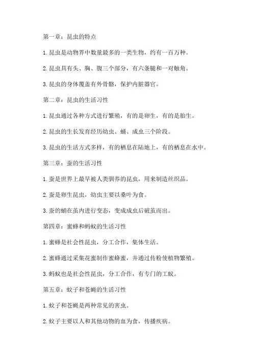 三年级下册昆虫备忘记录笔记