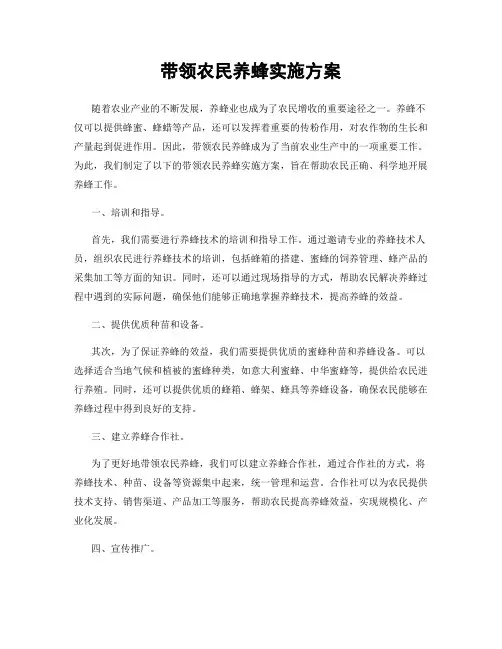 带领农民养蜂实施方案