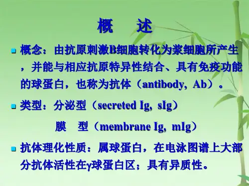 免疫球蛋白(共62张PPT)