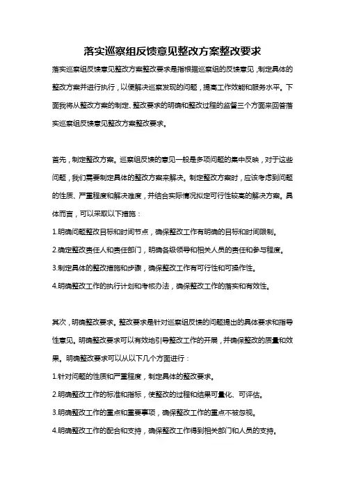 落实巡察组反馈意见整改方案整改要求