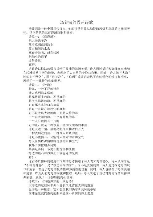 汤养宗的霞浦诗歌