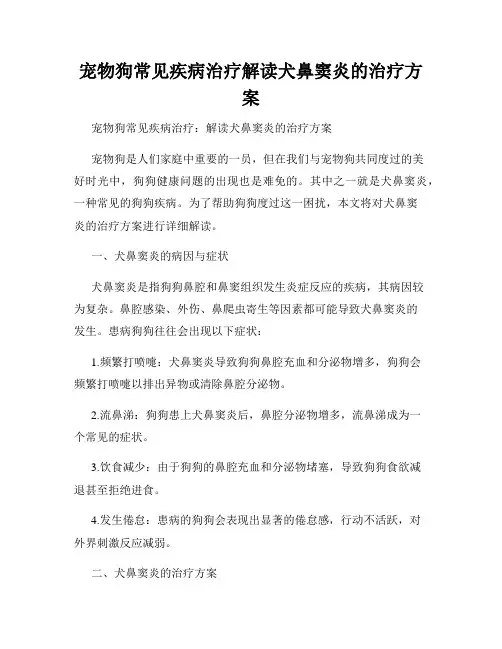 宠物狗常见疾病治疗解读犬鼻窦炎的治疗方案