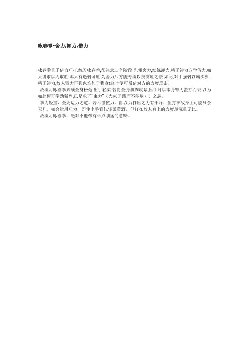 咏春拳-舍力,卸力,借力
