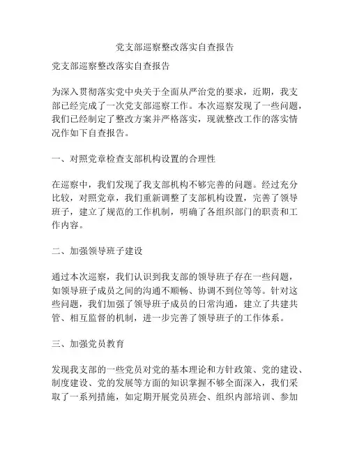 党支部巡察整改落实自查报告