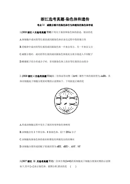 浙江选考真题-染色体和遗传