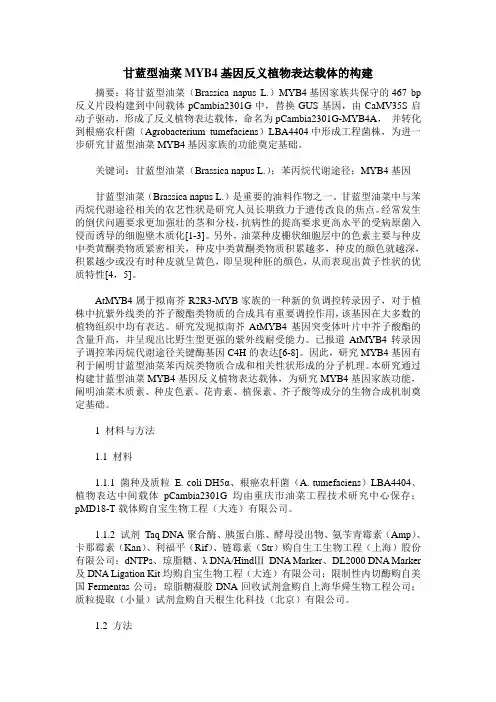 甘蓝型油菜MYB4基因反义植物表达载体的构建